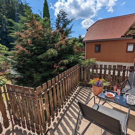 H2 - Urlaubsmagie - Garten, Pool, Terrasse, Grill Sebnitz Exteriör bild