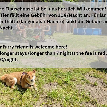 H2 - Urlaubsmagie - Garten, Pool, Terrasse, Grill Sebnitz Exteriör bild