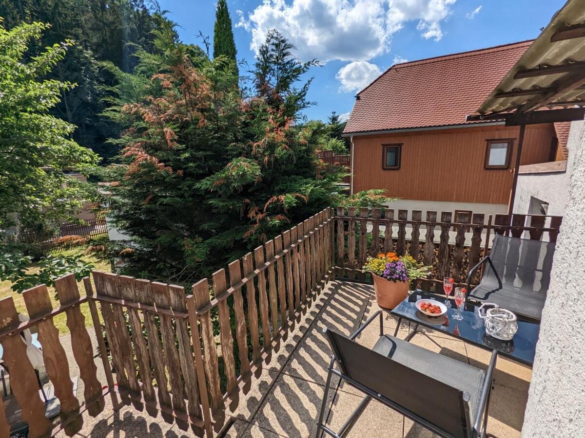 H2 - Urlaubsmagie - Garten, Pool, Terrasse, Grill Sebnitz Exteriör bild