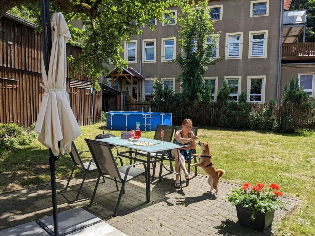 H2 - Urlaubsmagie - Garten, Pool, Terrasse, Grill Sebnitz Exteriör bild