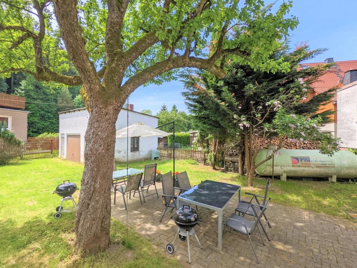 H2 - Urlaubsmagie - Garten, Pool, Terrasse, Grill Sebnitz Exteriör bild