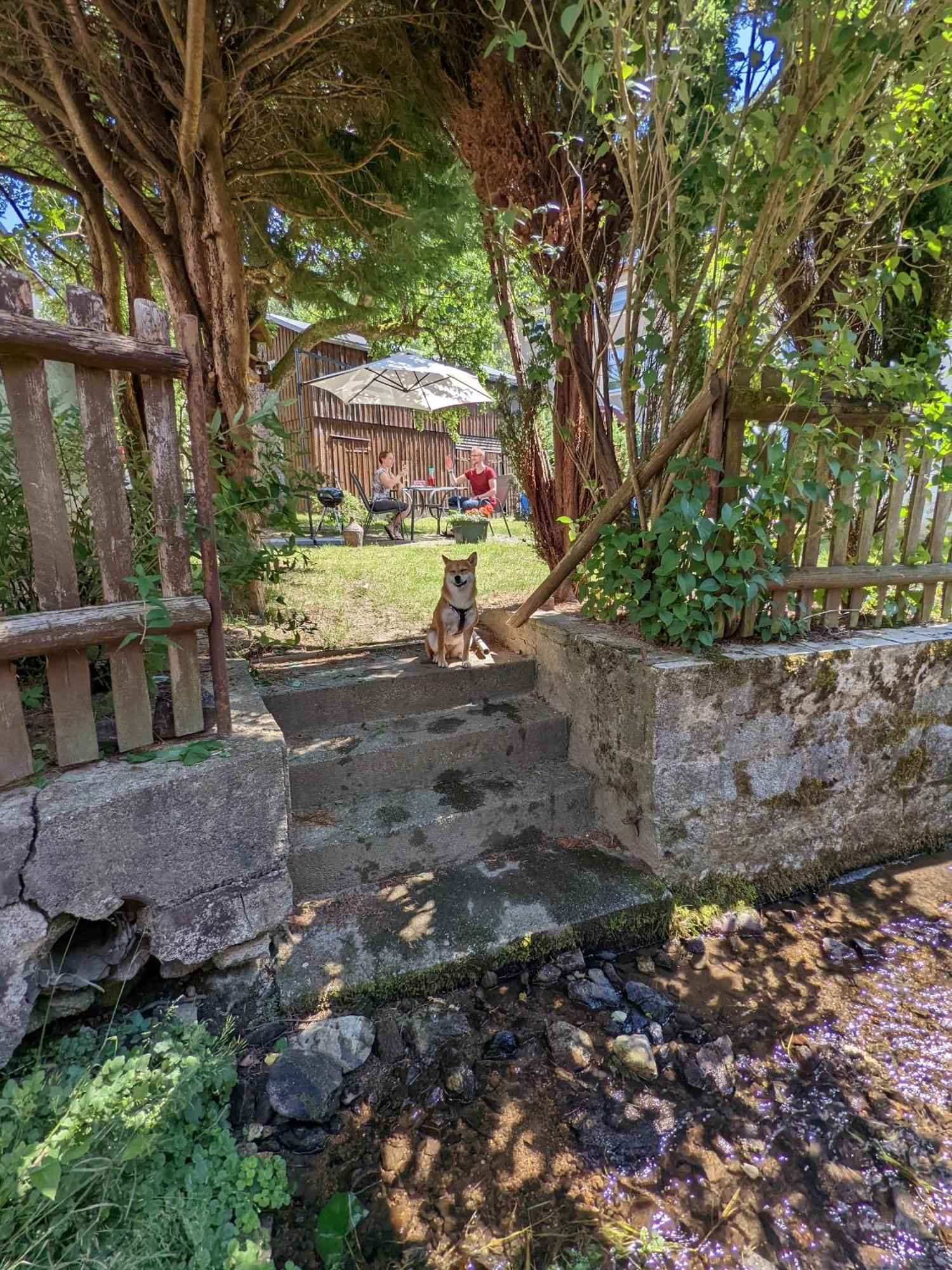 H2 - Urlaubsmagie - Garten, Pool, Terrasse, Grill Sebnitz Exteriör bild