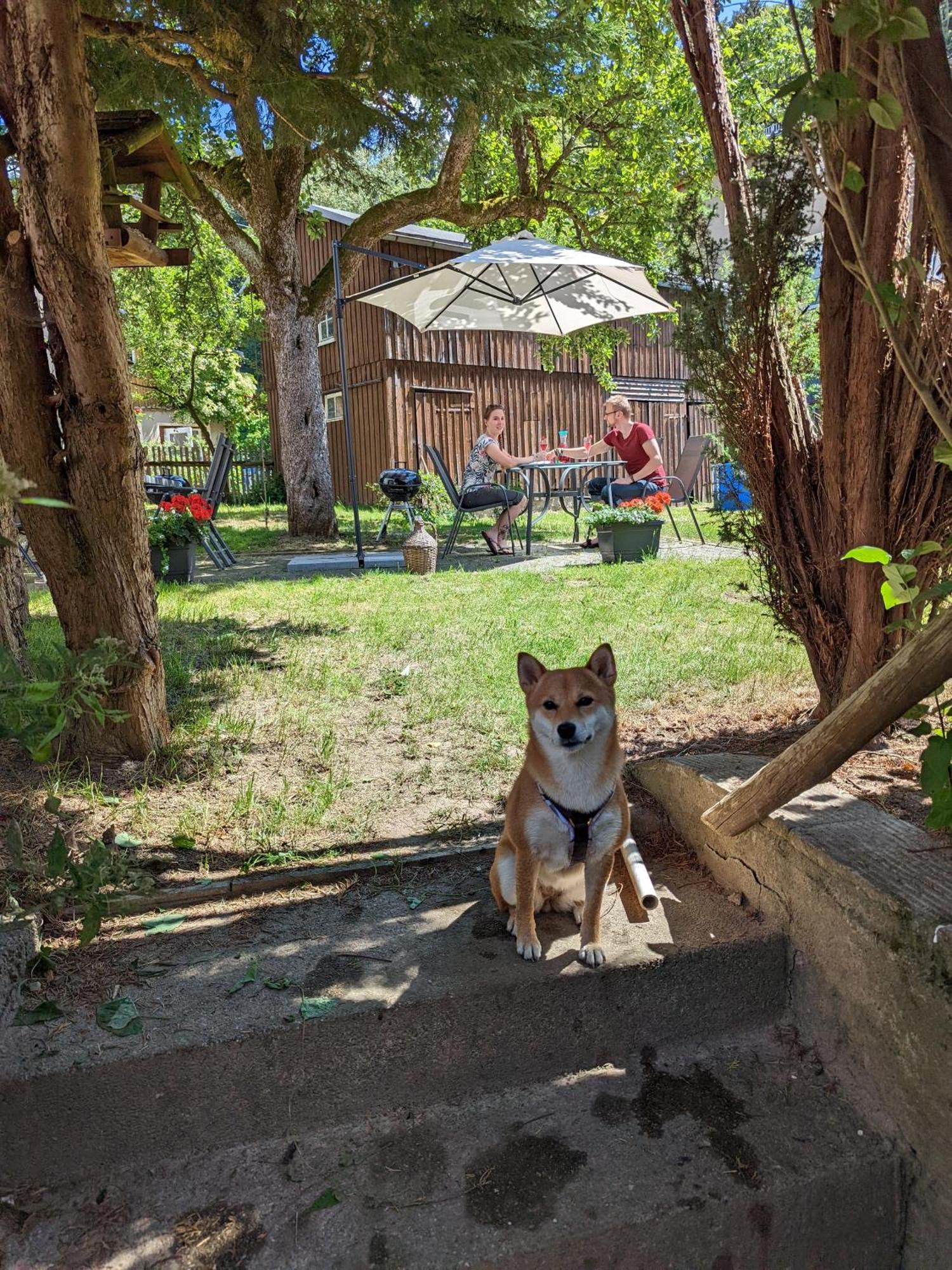 H2 - Urlaubsmagie - Garten, Pool, Terrasse, Grill Sebnitz Exteriör bild