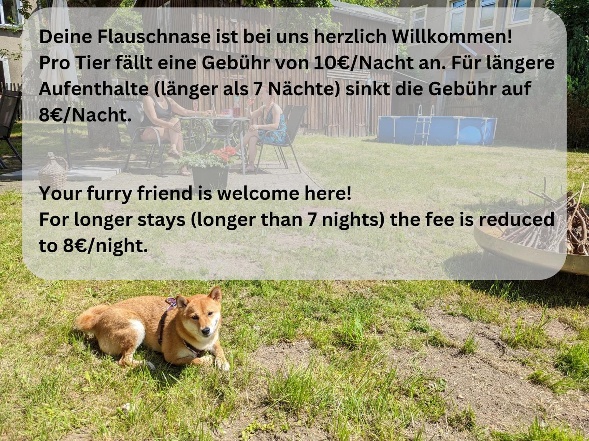 H2 - Urlaubsmagie - Garten, Pool, Terrasse, Grill Sebnitz Exteriör bild